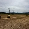 #21029 Terreni agricoli