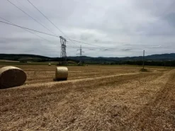 #21029 Terreni agricoli