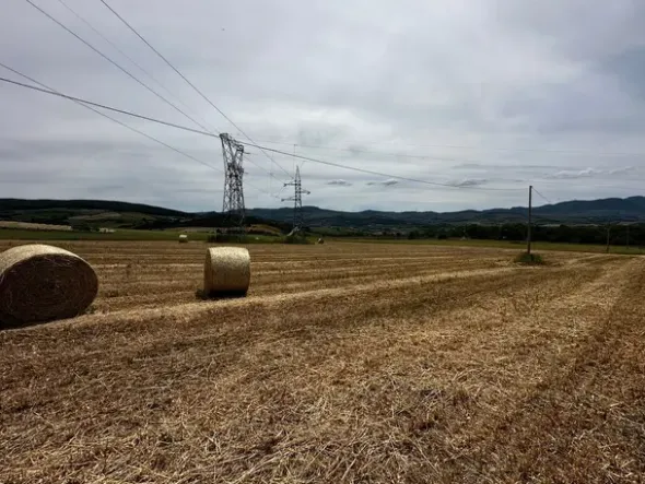 #21029 Terreni agricoli