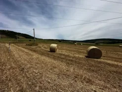 #21029 Terreni agricoli