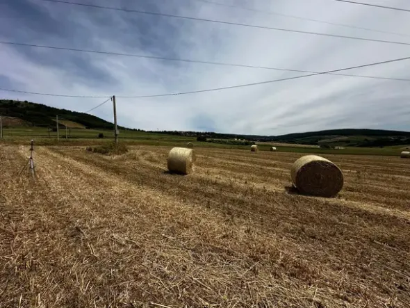 #21029 Terreni agricoli