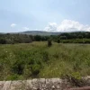 #20882 Terreni agricoli