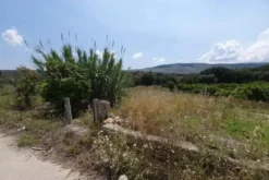 #20882 Terreni agricoli