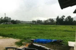 #20741 Terreni agricoli