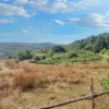 #24296 Terreni Agricoli a Todi e Baschi - Sup. Tot 16930 mq