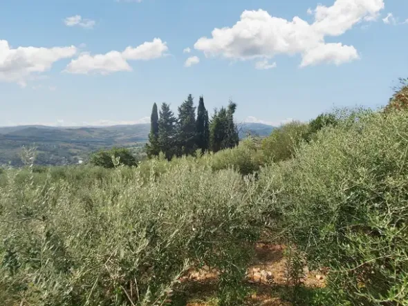 #24297 Terreni Agricoli a Todi - Sup. Tot 9330 mq