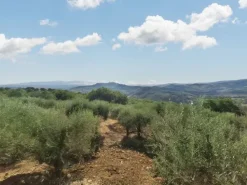 #24297 Terreni Agricoli a Todi - Sup. Tot 9330 mq