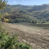 #19969 Terreni agricoli con fabbricati rurali da ristrutturare