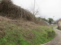 #23029 Terreni agricoli con fabbricati precari