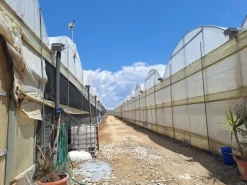 #23569 Terreni agricoli con impianti serricoli a Vittoria
