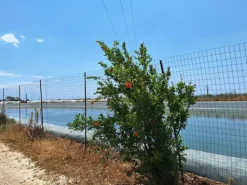 #23569 Terreni agricoli con impianti serricoli a Vittoria