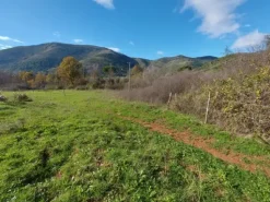 #2537440 Terreni agricoli con potenzialità turistica