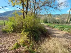 #2537440 Terreni agricoli con potenzialità turistica