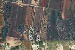 #24058 Terreni agricoli di 3.544 mq