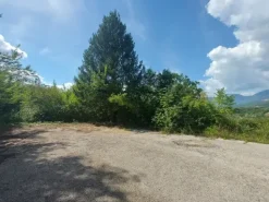 #18701 Terreni agricoli di mq 9.103