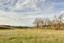 #23639 Terreni agricoli di 59.995 mq