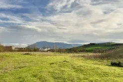#23639 Terreni agricoli di 59.995 mq