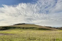 #23639 Terreni agricoli di 59.995 mq