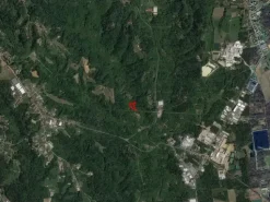 #24383 Terreni agricoli di mq 5880