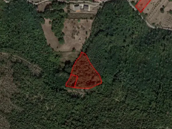 #18675 Terreni agricoli di mq 13.295