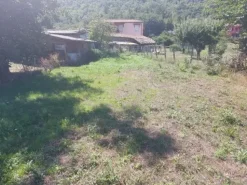 #18675 Terreni agricoli di mq 13.295