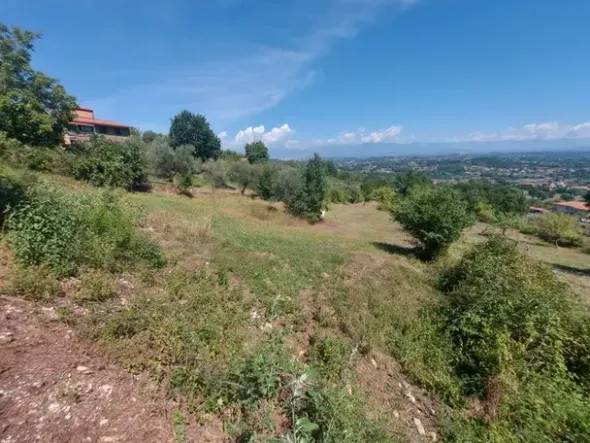 #18675 Terreni agricoli di mq 13.295