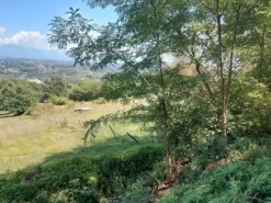 #18675 Terreni agricoli di mq 13.295