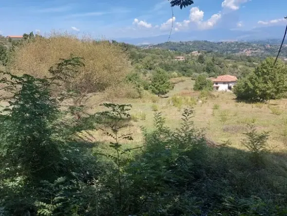 #18675 Terreni agricoli di mq 13.295