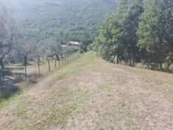 #18675 Terreni agricoli di mq 13.295