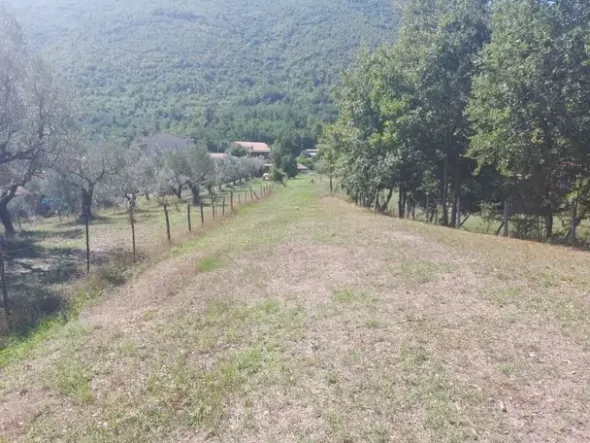 #18675 Terreni agricoli di mq 13.295