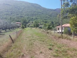 #18675 Terreni agricoli di mq 13.295