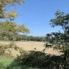 #19966 Terreni agricoli di 183506 mq