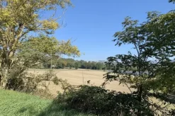 #19966 Terreni agricoli di 183506 mq