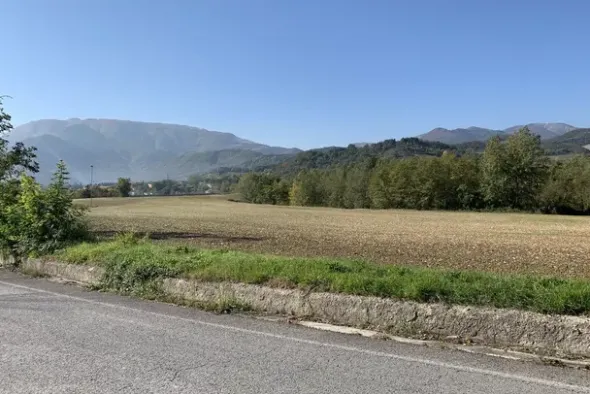 #19966 Terreni agricoli di 183506 mq