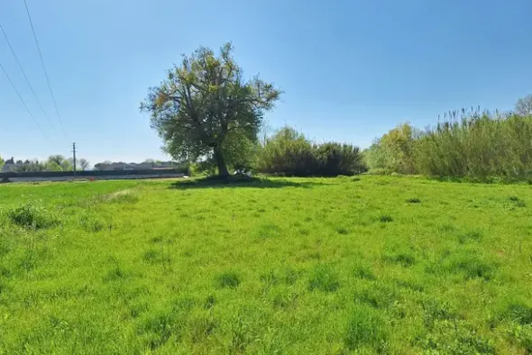 #23510 Terreni agricoli di 105.216 mq