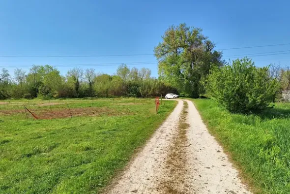 #23510 Terreni agricoli di 105.216 mq