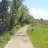 #2536792 Terreni agricoli di 11.133 mq