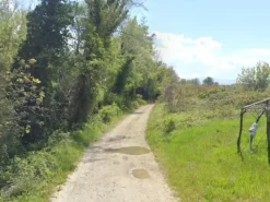 #2536792 Terreni agricoli di 11.133 mq