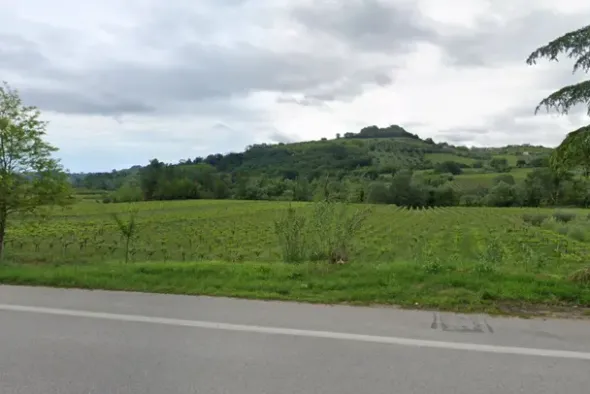 #24766 Terreni agricoli ed edificabili produttivi