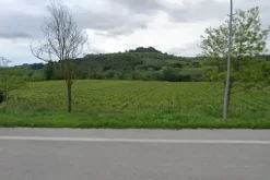 #24766 Terreni agricoli ed edificabili produttivi