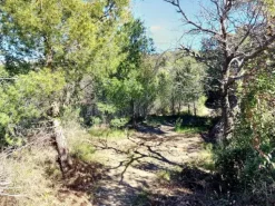 #23177 Terreni agricoli nel comune di San Bartolomeo al Mare