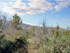 #23177 Terreni agricoli nel comune di San Bartolomeo al Mare