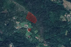 #2638791 Terreni agricoli per 21.500 mq