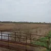 #18201 Terreni con vasche di lavaggio di 291.943 mq