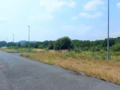 #22853 Terreni edificabili di mq 22016 per attività artigianali-produttive