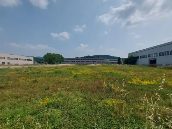 #22853 Terreni edificabili di mq 22016 per attività artigianali-produttive