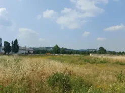 #22853 Terreni edificabili di mq 22016 per attività artigianali-produttive
