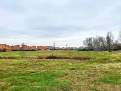 #21350 Terreni edificabili residenziali di 8.560 mq - Via Fenoglio