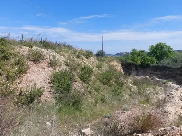 #24765 Terreno a cava di 11.990 mq