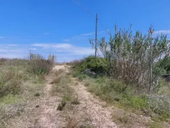 #24765 Terreno a cava di 11.990 mq